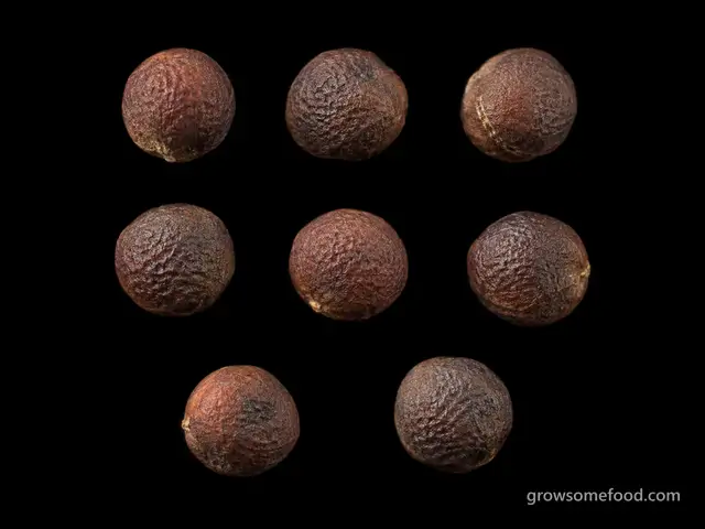 Cauliflower: Seed