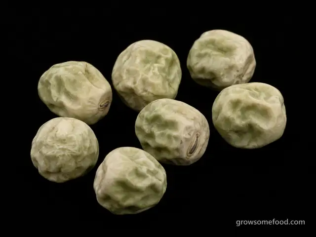Pea: Seed