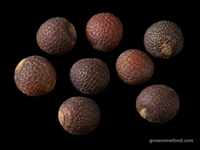 Turnip: Seed
